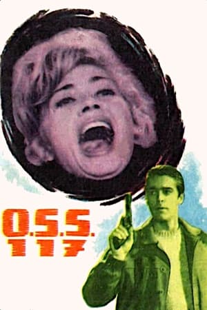 watch OSS 117 Is Unleashed