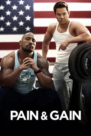 watch Pain & Gain