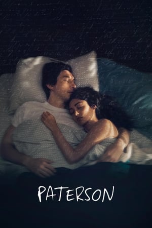 watch Paterson