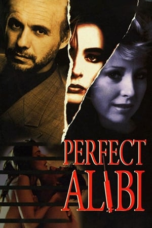 watch Perfect Alibi