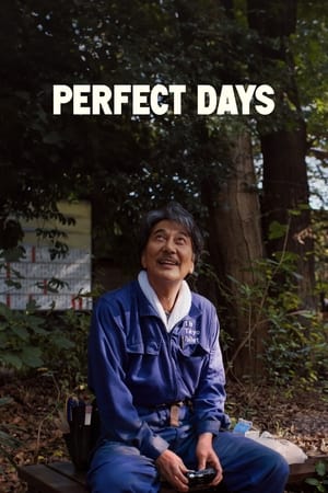 watch Perfect Days