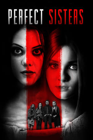 watch Perfect Sisters