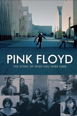 watch Pink Floyd: The Story of Wish You Were Here