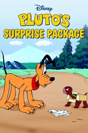 watch Pluto's Surprise Package