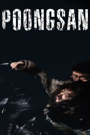 watch Poongsan