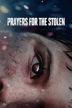 watch Prayers for the Stolen