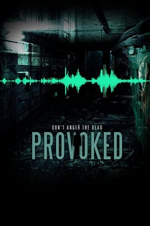 watch Provoked