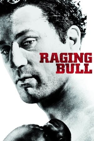 watch Raging Bull