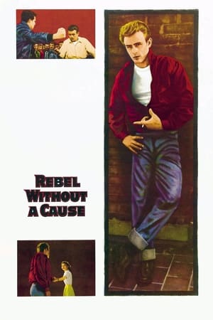 watch Rebel Without a Cause