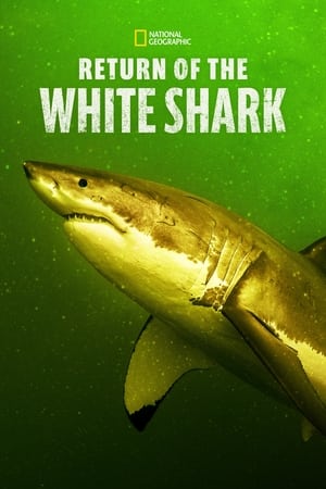 watch Return of the White Shark