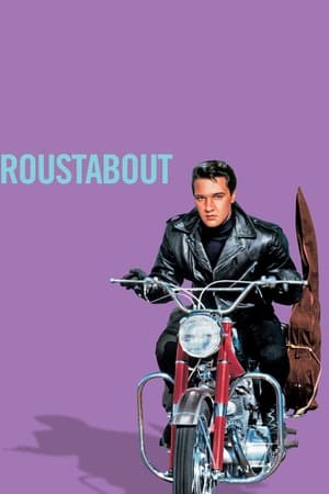 watch Roustabout