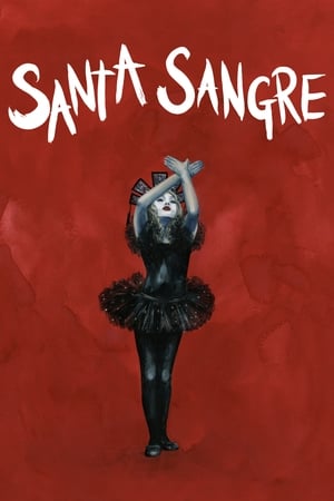 watch Santa Sangre