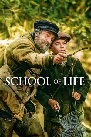 watch School of Life