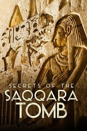 watch Secrets of the Saqqara Tomb