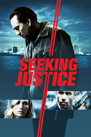 watch Seeking Justice