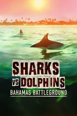 watch Sharks vs. Dolphins: Bahamas Battleground