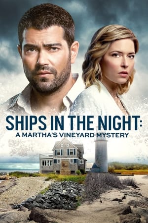 watch Ships in the Night: A Martha's Vineyard Mystery