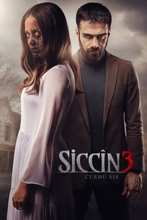 watch Sijjin 3: The Forbidden Love