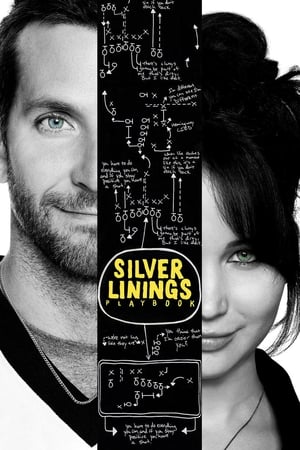 watch Silver Linings Playbook