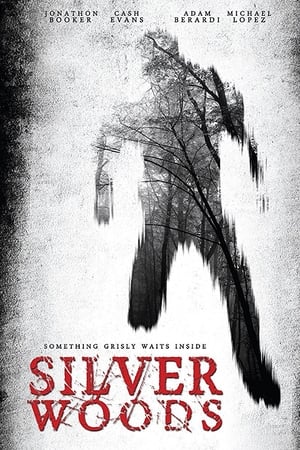 watch Silver Woods