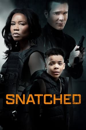 watch Snatched