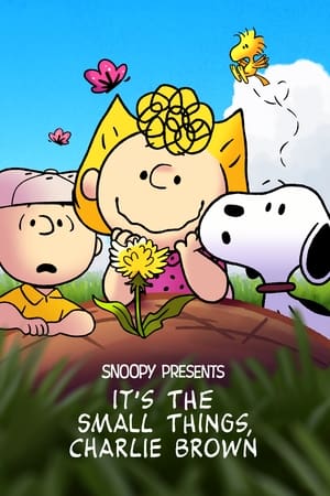 watch Snoopy Presents: It's the Small Things, Charlie Brown