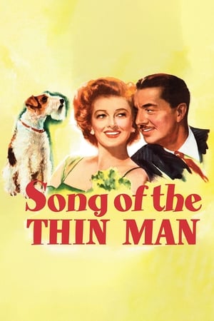 watch Song of the Thin Man