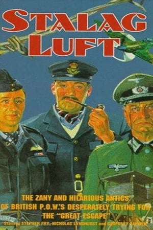 watch Stalag Luft