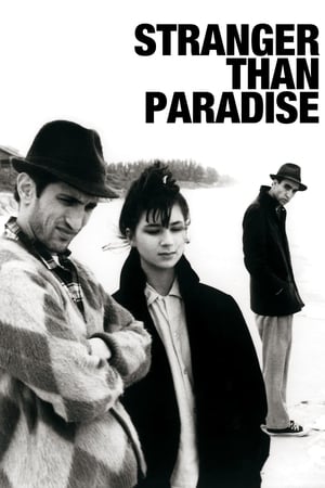 watch Stranger Than Paradise