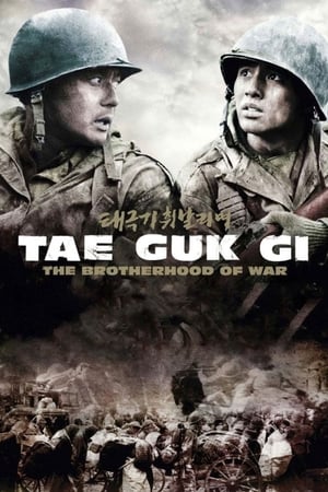 watch Tae Guk Gi: The Brotherhood of War