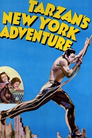 watch Tarzan's New York Adventure