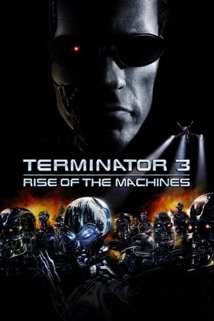 watch Terminator 3: Rise of the Machines