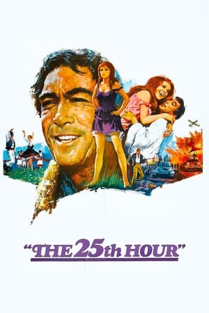 watch The 25th Hour