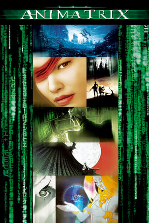 watch The Animatrix