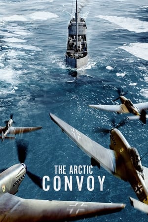 watch The Arctic Convoy