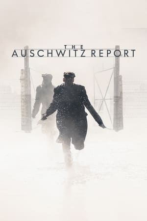 watch The Auschwitz Report