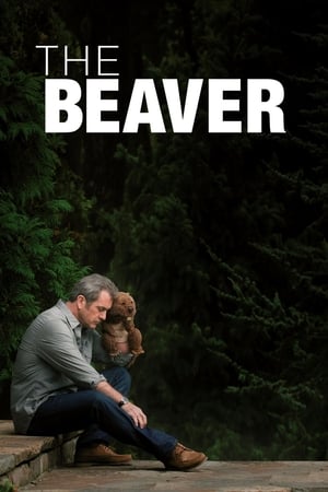 watch The Beaver