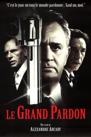 watch The Big Pardon