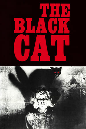 watch The Black Cat