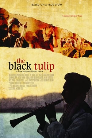 watch The Black Tulip