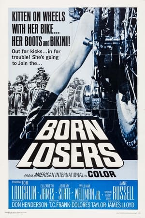 watch The Born Losers