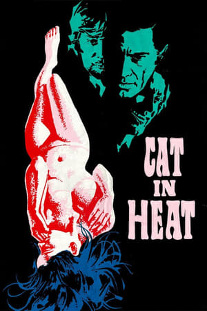 watch The Cat in Heat