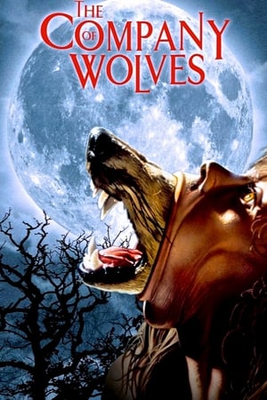 watch The Company of Wolves