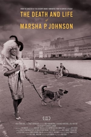 watch The Death and Life of Marsha P. Johnson