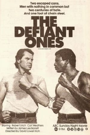 watch The Defiant Ones