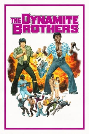 watch The Dynamite Brothers