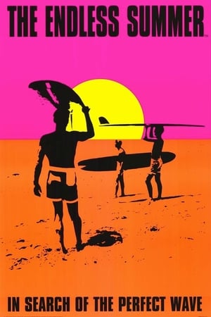 watch The Endless Summer