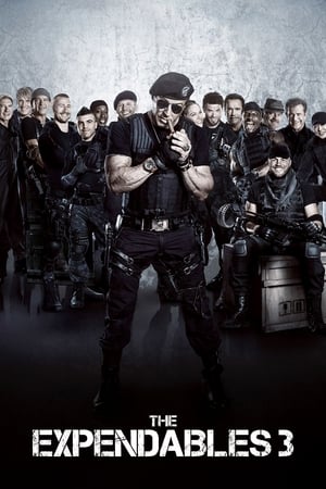 watch The Expendables 3