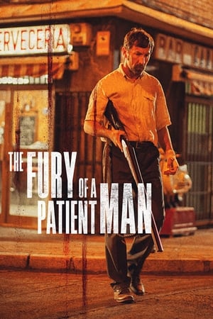 watch The Fury of a Patient Man