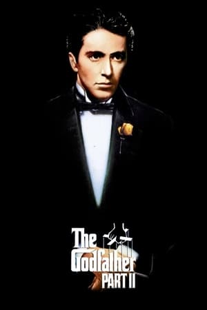 watch The Godfather Part II